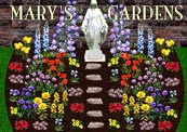 To introduce your children (and even yourself!) to the beautiful world of herbs, you can begin with a "Mary Garden".  Many, many flowers are named after Our Lady-mother.