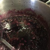 Making Homemade Grape Jelly from Wild Grapes … cont’d.