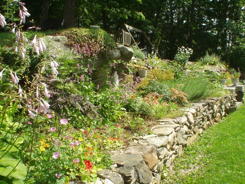 One of our herb gardens at Mystical Rose Herbals